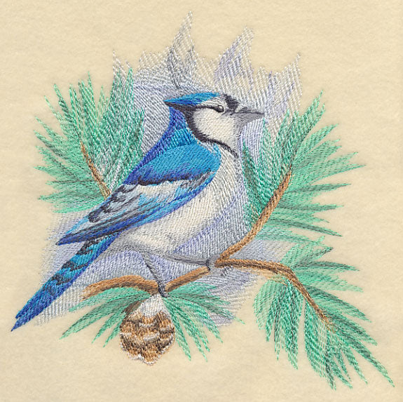 Blue Jay in Watercolor