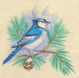 Blue Jay in Watercolor