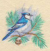 Blue Jay in Watercolor