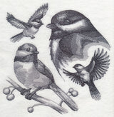 Chickadee Sketch