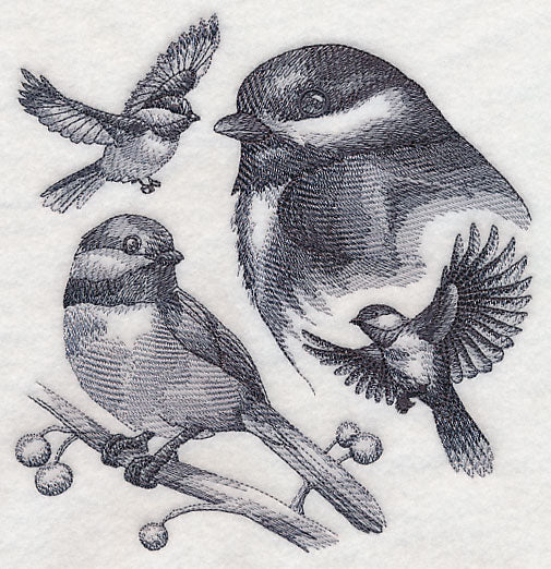 Chickadee Sketch