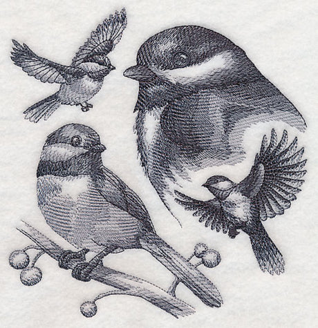Chickadee Sketch