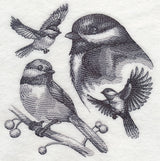 Chickadee Sketch