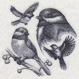 Chickadee Sketch