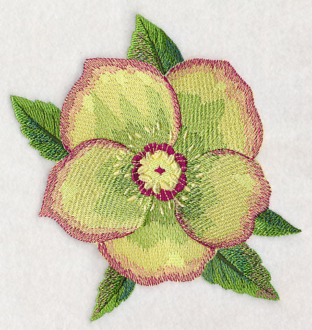 Lenten Rose Bloom in Watercolor