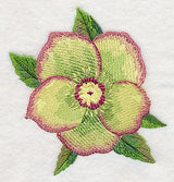 Lenten Rose Bloom in Watercolor