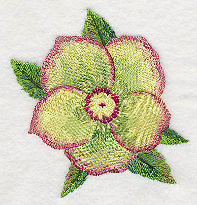 Lenten Rose Bloom in Watercolor