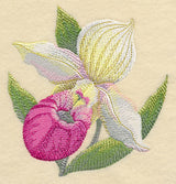 Lady Slipper Bloom in Watercolor