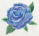Blue Rose Bloom in Watercolor