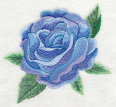 Blue Rose Bloom in Watercolor