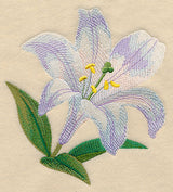 White Lily Bloom in Watercolor