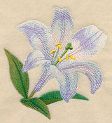 White Lily Bloom in Watercolor