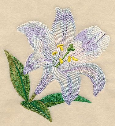 White Lily Bloom in Watercolor