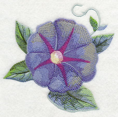 Morning Glory Bloom in Watercolor