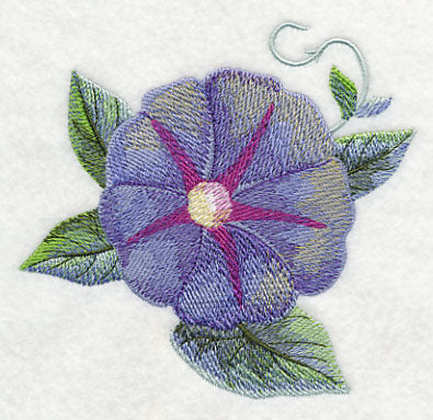 Morning Glory Bloom in Watercolor