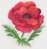 Poppy Bloom in Watercolor