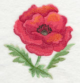 Poppy Bloom in Watercolor