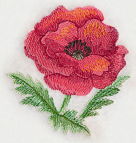 Poppy Bloom in Watercolor