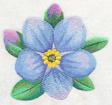 Forget-Me-Not Bloom in Watercolor