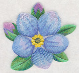 Forget-Me-Not Bloom in Watercolor