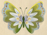 Edelweiss Butterfly in Watercolor