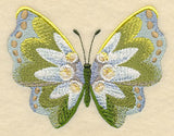 Edelweiss Butterfly in Watercolor