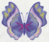 Morning Glory Butterfly in Watercolor
