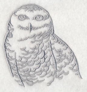 Cool Silhouette Snowy Owl