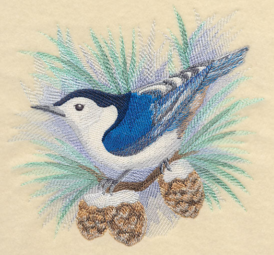 Nuthatch in Watercolor