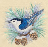 Nuthatch in Watercolor