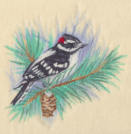 Downy Woodpecker in Watercolor