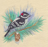 Downy Woodpecker in Watercolor