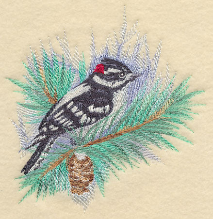 Downy Woodpecker in Watercolor