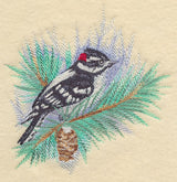 Downy Woodpecker in Watercolor