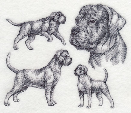 Cane Corso Sketch
