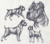 Cane Corso Sketch (Docked Tail and Cropped Ears)