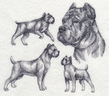 Cane Corso Sketch (Docked Tail and Cropped Ears)