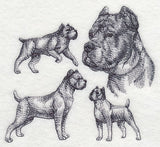 Cane Corso Sketch (Docked Tail and Cropped Ears)