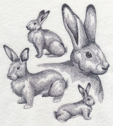 Flemish Giant Rabbit Sketch