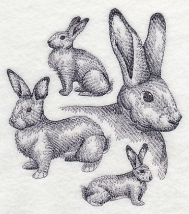 Flemish Giant Rabbit Sketch – Embroidery Library