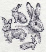 Flemish Giant Rabbit Sketch