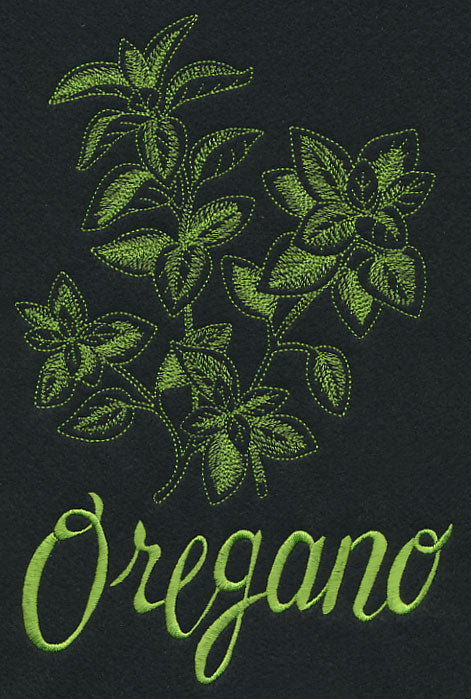 Herb Sketch - Oregano