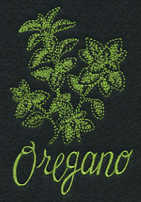 Herb Sketch - Oregano