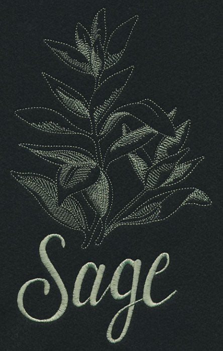 Herb Sketch - Sage