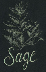 Herb Sketch - Sage