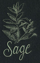 Herb Sketch - Sage
