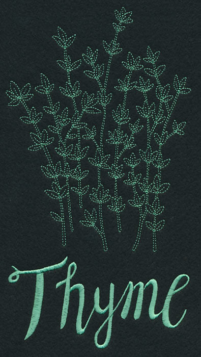 Herb Sketch - Thyme