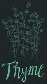 Herb Sketch - Thyme