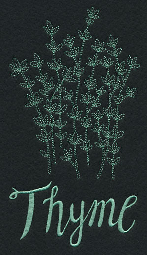 Herb Sketch - Thyme