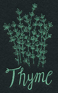 Herb Sketch - Thyme